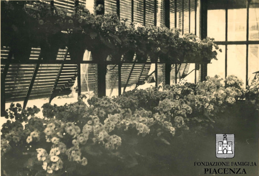 Fondazione Famiglia Piacenza